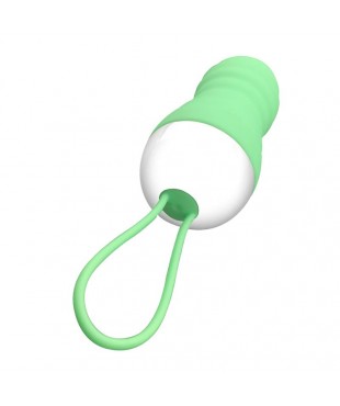 Brightgreen Huevo Vibrador Control Remoto USB Silicona