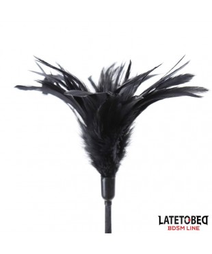 Multi Feathers Tickler and Lace Ribbon Paddle Comb