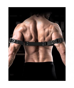 Correas para Biceps Correas para Biceps