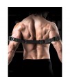 Correas para Biceps