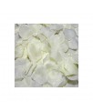 100 Petalos Color Vainilla