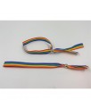 Pulsera Ajustable Bandera LGBT