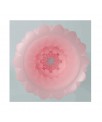 Alice Huevo Masturbador Rosa