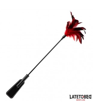 Pala con Plumas 2 en 1