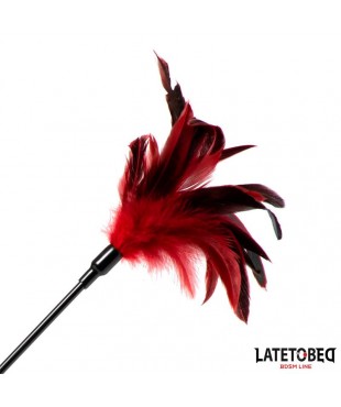 Pala con Plumas 2 en 1 Pala con Plumas 2 en 1