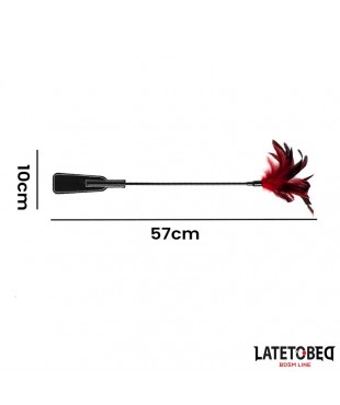 Pala con Plumas 2 en 1 Pala con Plumas 2 en 1
