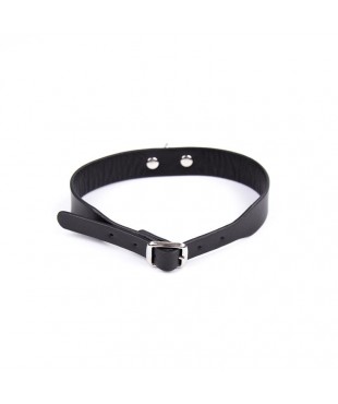 Collar Ajustable 43 cm Negro