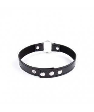 Collar con Aro Ajustable 38,2 cm Negro