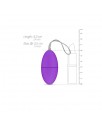 Huevo Vibrador Control Remoto Purpura