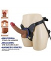 Wells Arnes Universal con Dildo