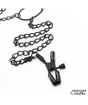 Pinzas para Pezones y Clitoris