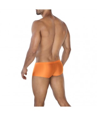 C4MSPX13 Calzoncillo Hipster Copper Spring