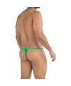 C4MSPXBUL03 Micro Tanga Verde