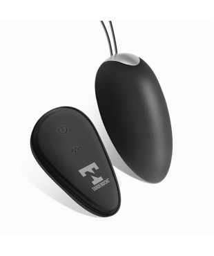 Ralan Huevo Vibrador con Control Remoto USB Magnético