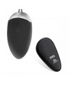 Ralan Huevo Vibrador con Control Remoto USB Magnetico