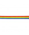 Banda Colores Bandera LGBT