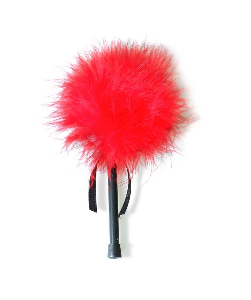 Plumero con Marabu Rojo