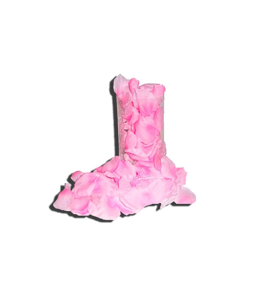 Petalos de Rosa 120 Unidades Color Rosa