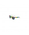 Gafas de Sol Bandera LGBT