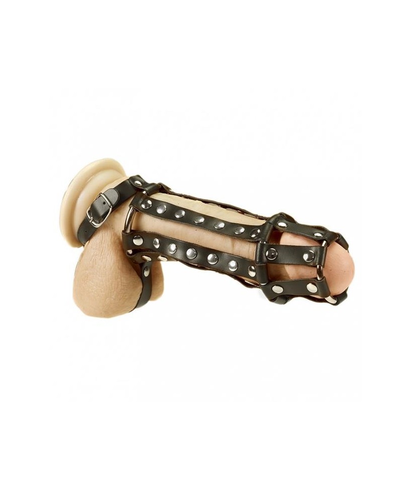 Arnes Completo para Pene y Testiculos