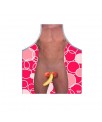 Delantal Fruta Desnudo