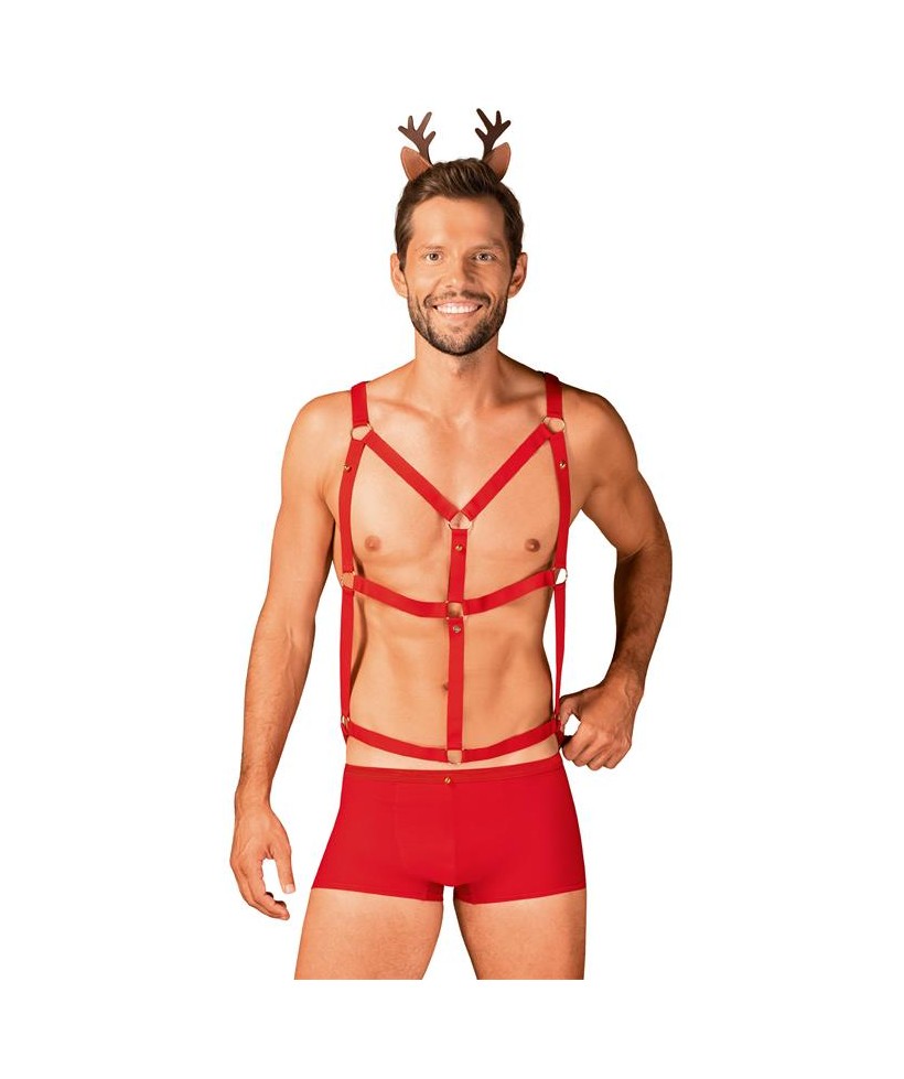 Mr Reindy Set Shots Arnes y Pizas de Pelo