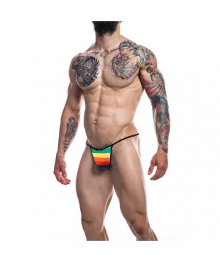 C4M12 Briefkini Arcoiris Rainbow