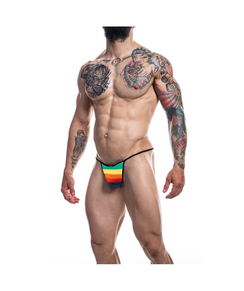 C4M12 Briefkini Arcoiris Rainbow