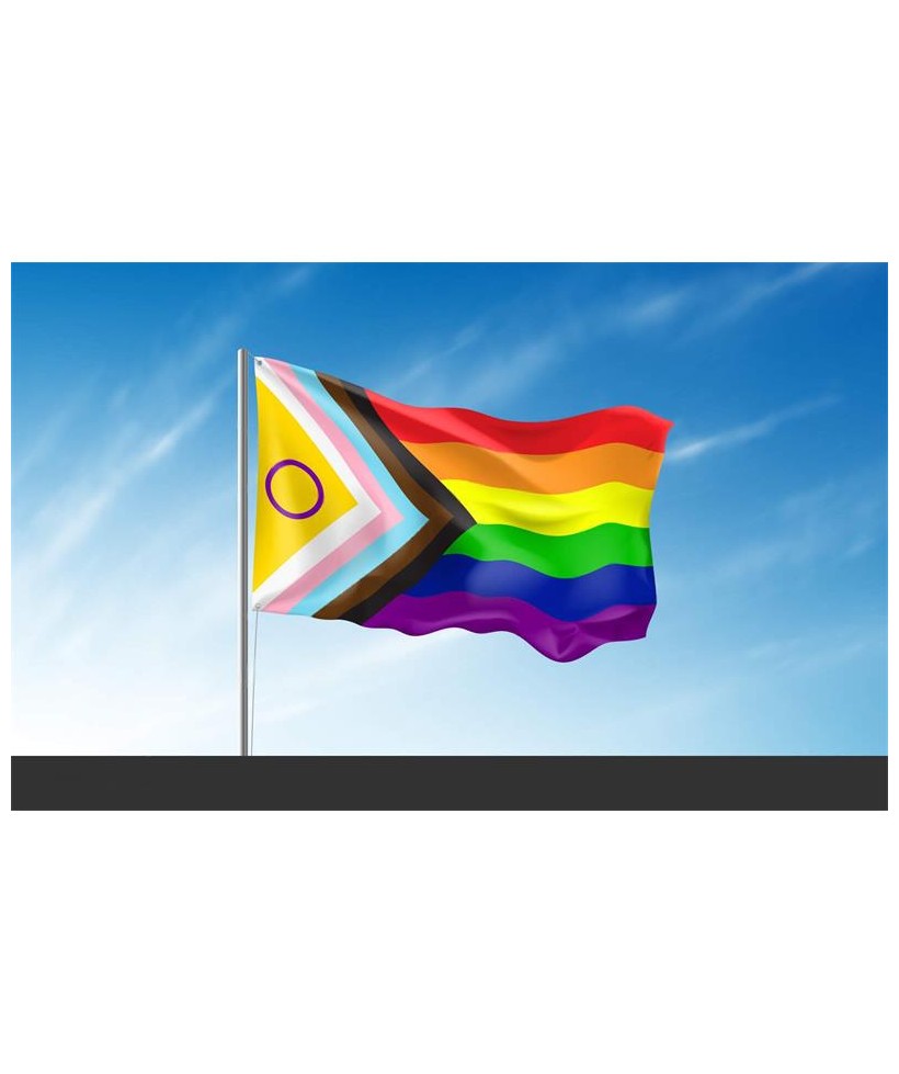 Bandera Intersexsual 90x150cm