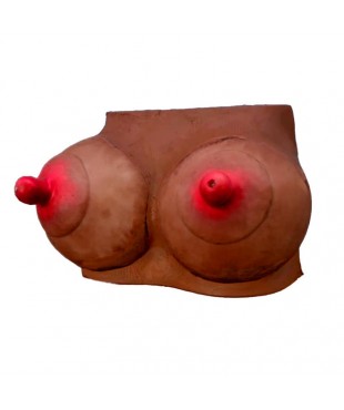 Hucha Forma de Pechos Mulata