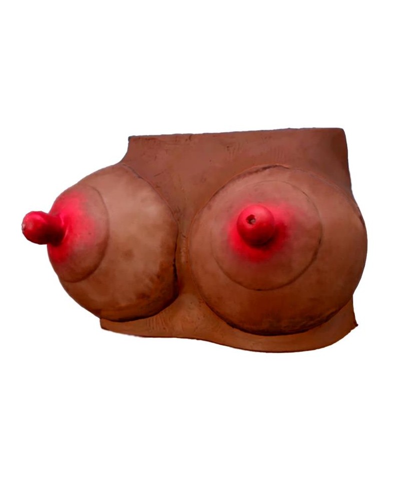 Hucha Forma de Pechos Mulata