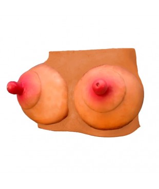 Hucha Forma de Pechos