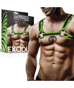 Arnés Bondage para Pecho que Brilla en la Oscuridad