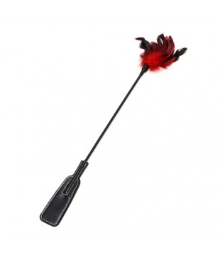 Pala y Plumas Estimuladoras 2 en 1