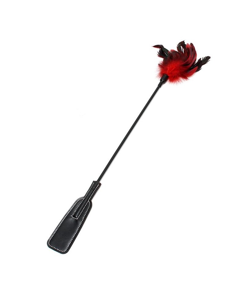 Pala y Plumas Estimuladoras 2 en 1