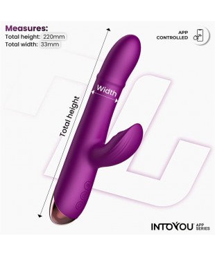 Sendel Vibrador con Anillo de Bolas Internas Up and Down y Pulsacion con App