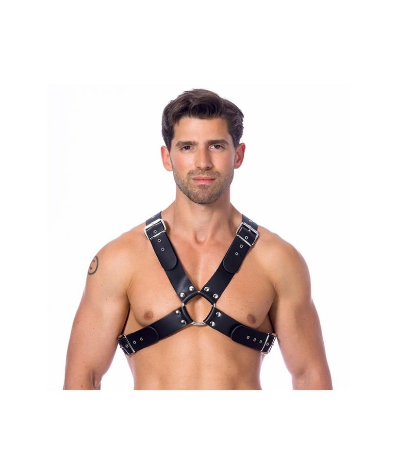 Arnes Ajustable de Cuero con Hebillas
