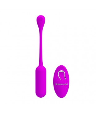 Lechies Huevo Vibrador con Control Remoto USB
