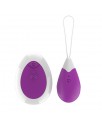 Huevo Vibrador con Control Remoto USB Purpura