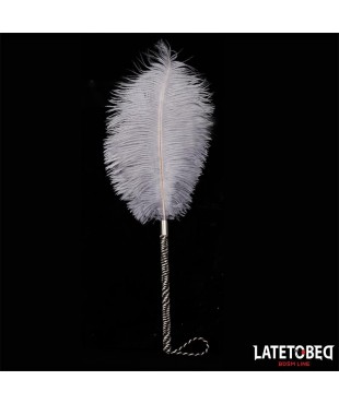 Pluma Estimuladora 44 cm