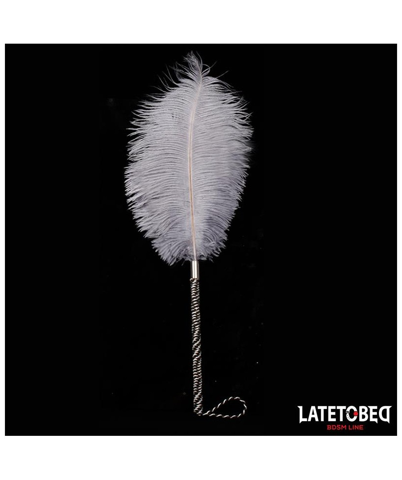 Pluma Estimuladora 44 cm
