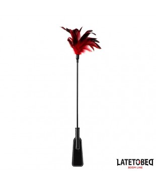 Pala con Plumas 2 en 1