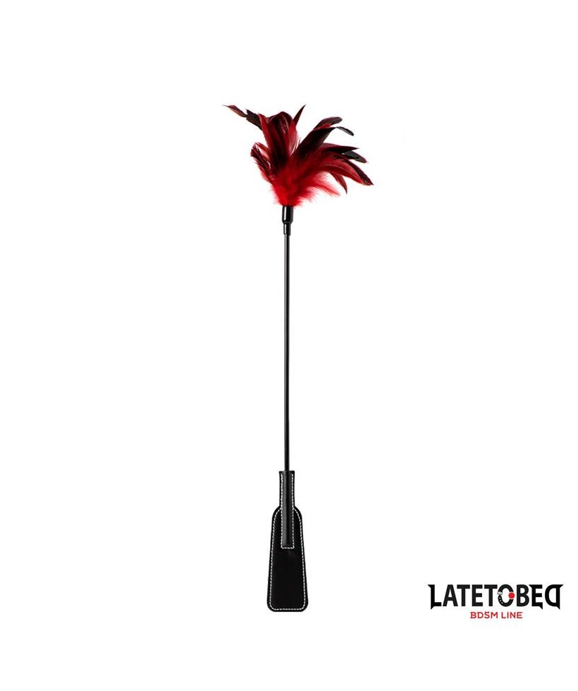 Pala con Plumas 2 en 1