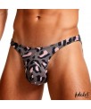 John Tanga Tiro Bajo Leopardo