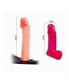 Arnes con Dildo 20 cm