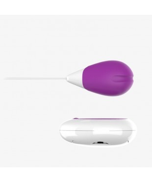 Huevo Vibrador con Control Remoto USB Purpura Huevo Vibrador con Control Remoto USB Purpura