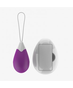 Huevo Vibrador con Control Remoto USB Purpura Huevo Vibrador con Control Remoto USB Purpura