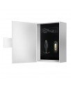 Regina Royal Plug Anal con Control Remoto USB
