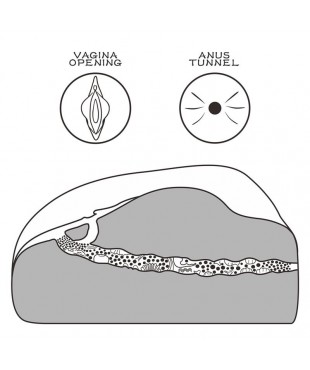 Masturbador Streetgirls 1