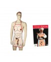 Delantal Hombre Pene Relieve